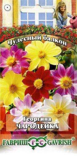 Георгина Чародейка (гавриш) 0,3гр  – купить в г. Волгоград