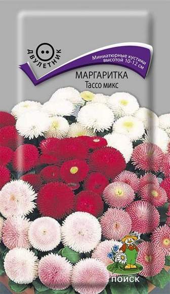 Маргаритка Тассо микс (поиск) 20шт  – купить в г. Волгоград