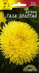 Астра Гала золотая (цветущий сад) 0,1 гр – купить в г. Волгоград Астра Гала золотая (цветущий сад) 0,1 гр – купить в г. Волгоград