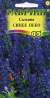 Сальвия Синее небо (гавриш) 0,05гр  – купить в г. Волгоград