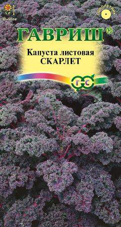 Капуста кале декоративная Скарлет (гавриш) 0,2 гр Капуста кале декоративная Скарлет (гавриш) 0,2 гр