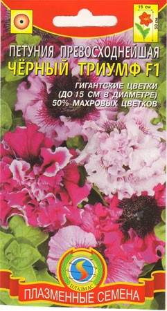 Петуния Черный Триумф F1 (плазмас) 10шт  – купить в г. Волгоград