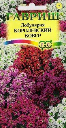 Лобулярия Королевский ковер (гавриш) 0,05гр  – купить в г. Волгоград