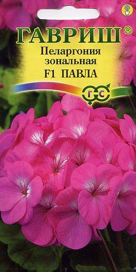 Пеларгония Павла F1 (г) 4шт  – купить в г. Волгоград