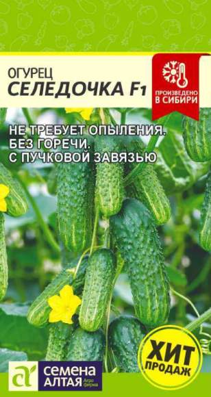Огурец Селёдочка F1 (Семена Алтая) 5шт – купить в г. Волгоград Огурец Селёдочка F1 (Семена Алтая) 5шт – купить в г. Волгоград