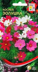 Космея Золушка (дом семян) 45 шт  – купить в г. Волгоград