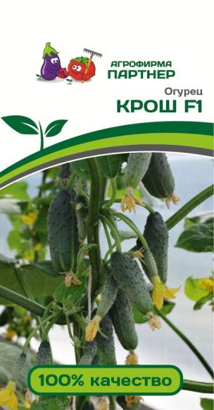 Огурец Крош F1 (партнер) 10 шт – купить в г. Волгоград Огурец Крош F1 (партнер) 10 шт – купить в г. Волгоград