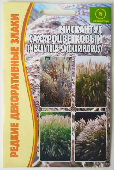 Мискантус Сахароцветковый (веерник) (Григорьев) 0,1 гр  – купить в г. Волгоград