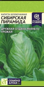 Капуста белокочанная Сибирская пирамида (семена Алтая) 0,3 гр Капуста белокочанная Сибирская пирамида (семена Алтая) 0,3 гр