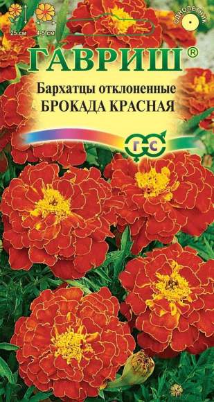Бархатцы Брокада красная (гавриш) 0,3 гр  – купить в г. Волгоград
