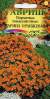 Бархатцы тонколистные Карина Оранжевая (гавриш) 0,05 гр  – купить в г. Волгоград