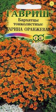 Бархатцы тонколистные Карина Оранжевая (гавриш) 0,05 гр Бархатцы тонколистные Карина Оранжевая (гавриш) 0,05 гр