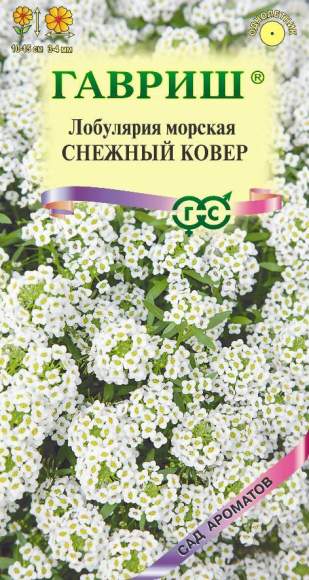 Лобулярия Снежный ковер (гавриш) 0,05 гр  – купить в г. Волгоград