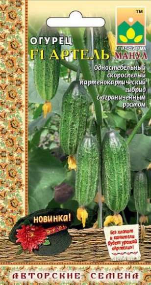 Огурец Артель F1 (манул) 10 шт  – купить в г. Волгоград