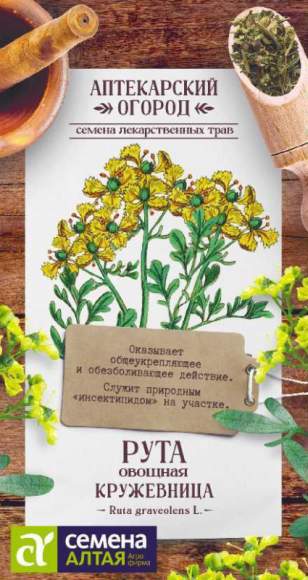 Рута овощная Кружевница (семена Алтая) 0,1гр  – купить в г. Волгоград