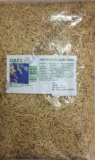 Овес 1кг – купить в г. Волгоград Овес 1кг – купить в г. Волгоград