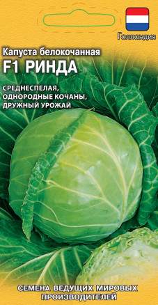 Капуста белокочанная Ринда F1 (гавриш) 10 шт – купить в г. Волгоград Капуста белокочанная Ринда F1 (гавриш) 10 шт – купить в г. Волгоград