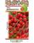 Томат Дюймовочка (нк) 0,05 гр  – купить в г. Волгоград