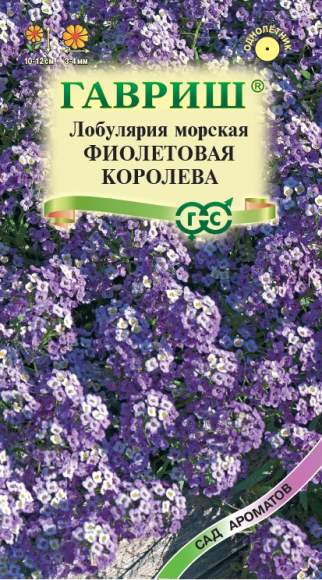 Лобулярия Фиолетовая королева (гавриш) 0,05 гр  – купить в г. Волгоград