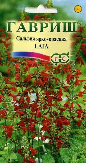 Сальвия Сага (гавриш) 0,05гр  – купить в г. Волгоград
