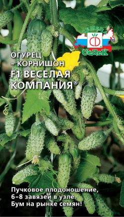 Огурец Веселая компания F1 (седек) 0,2 гр – купить в г. Волгоград Огурец Веселая компания F1 (седек) 0,2 гр – купить в г. Волгоград