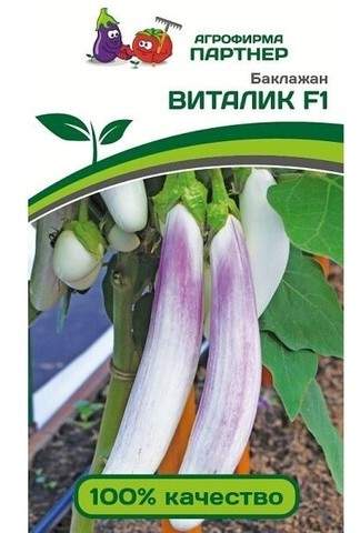 Баклажан Виталик F1 (партнер) 10 шт – купить в г. Волгоград Баклажан Виталик F1 (партнер) 10 шт – купить в г. Волгоград