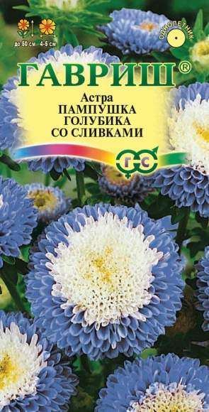 Астра Пампушка голубика со сливками (гавриш) 0,3гр