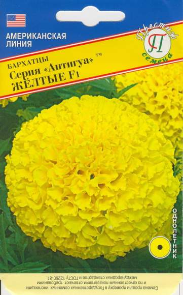 Бархатцы Антигуа F1 желтые (престиж) 5 шт  – купить в г. Волгоград