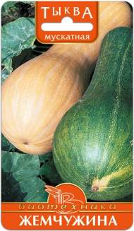 Тыква Мускатная Жемчужина (биотехника) 6 шт