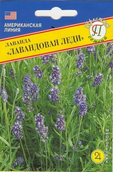 Лаванда Лавандовая леди (престиж) 0,01 гр  – купить в г. Волгоград