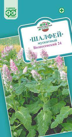 Шалфей мускатный Вознесенский 24 (гавриш) 0,3 гр  – купить в г. Волгоград