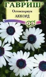 Остеоспермум Аккорд (гавриш) 0,1гр  – купить в г. Волгоград