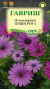Остеоспермум Пэшн Роуз (гавриш) 3шт  – купить в г. Волгоград