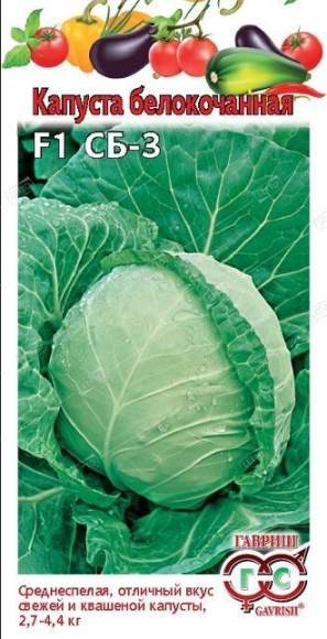 Капуста белокочанная СБ-3 F1 (гавриш) 10 шт – купить в г. Волгоград Капуста белокочанная СБ-3 F1 (гавриш) 10 шт – купить в г. Волгоград