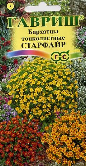 Бархатцы тонколистные Старфайр (гавриш) 0,1 гр  – купить в г. Волгоград