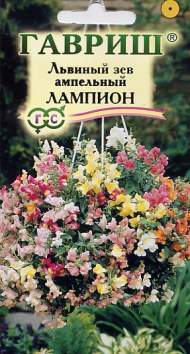 Львиный зев Лампион F1 ампельный (гавриш) 5шт