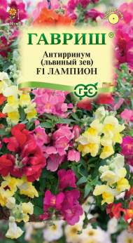 Антирринум (львиный зев) Лампион F1 ампельный (гавриш) 5шт