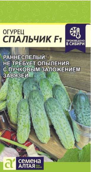 Огурец Спальчик F1 (семена Алтая) 5 шт  – купить в г. Волгоград