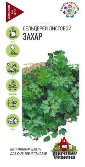 Сельдерей листовой Захар (гавриш) (ус) 0,1гр – купить в г. Волгоград Сельдерей листовой Захар (гавриш) (ус) 0,1гр – купить в г. Волгоград
