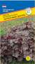 Гейхера Пурпурный дворец (престиж) 5 шт  – купить в г. Волгоград