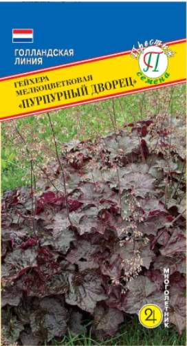Гейхера Пурпурный дворец (престиж) 5 шт  – купить в г. Волгоград