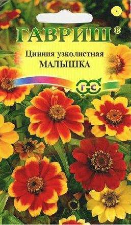 Цинния Малышка (гавриш) 0,3 гр Цинния Малышка (гавриш) 0,3 гр