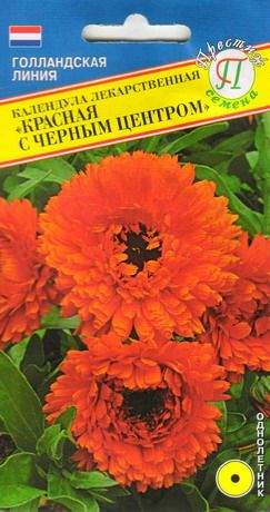 Календула Красная с черным центром (престиж) 0,3 гр  – купить в г. Волгоград