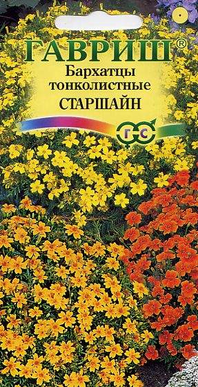 Бархатцы тонколистные Старшайн (гавриш) 0,05 гр  – купить в г. Волгоград