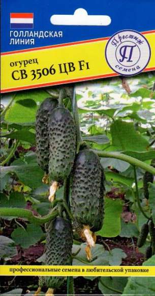 Огурец СВ 3506 ЦВ F1 (престиж) 5 шт  – купить в г. Волгоград