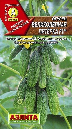 Огурец Великолепная пятерка F1 (аэлита) 10 шт – купить в г. Волгоград Огурец Великолепная пятерка F1 (аэлита) 10 шт – купить в г. Волгоград