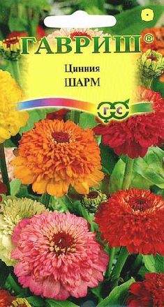 Цинния Шарм (гавриш) 0,3 гр – купить в г. Волгоград Цинния Шарм (гавриш) 0,3 гр – купить в г. Волгоград
