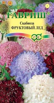 Скабиоза Фруктовый лед (гавриш) 0,2 гр Скабиоза Фруктовый лед (гавриш) 0,2 гр