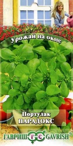 Портулак Парадокс (урожай на окне) (гавриш) 0,1 гр  – купить в г. Волгоград
