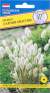 Лагурус Заячий хвостик (престиж) 10шт  – купить в г. Волгоград